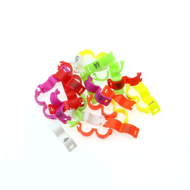 Customize Pigeon Ring 2.7/3/4/4.5/5mm Plastic Bird Ring Pigeon Digital Foot Parrot Leg Rings