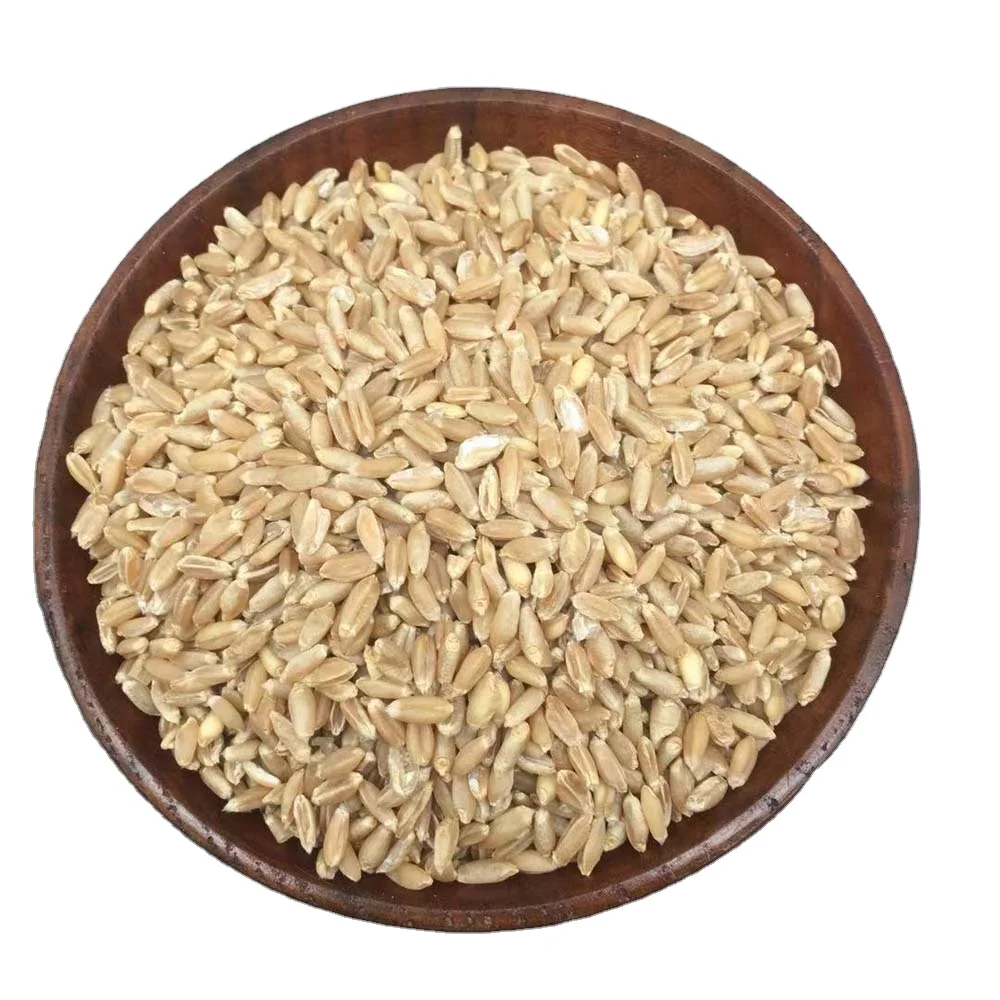 Fu xiao mai Chinese herbal dried Fructus Tritici Levis Floating wheat light wheat for sale