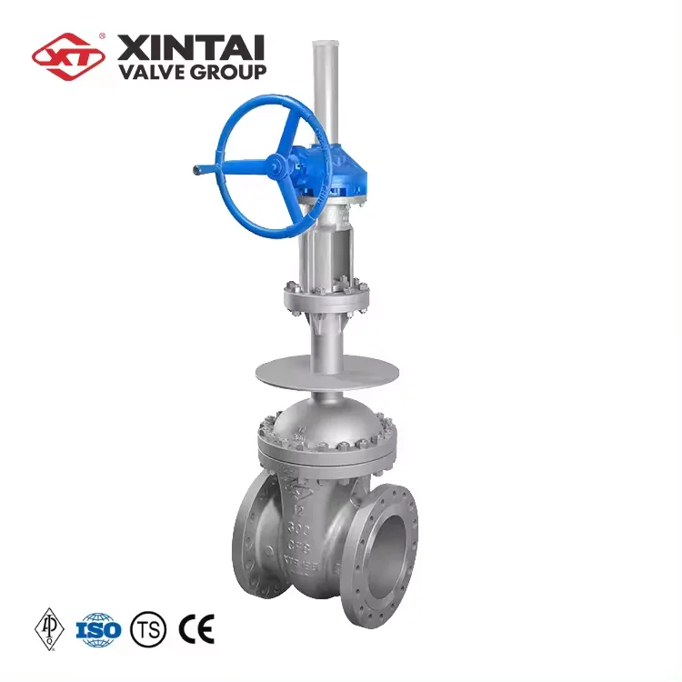 DZ540Y-300LBP 12inch flange Loose gear Cryogenic gate valve with prices