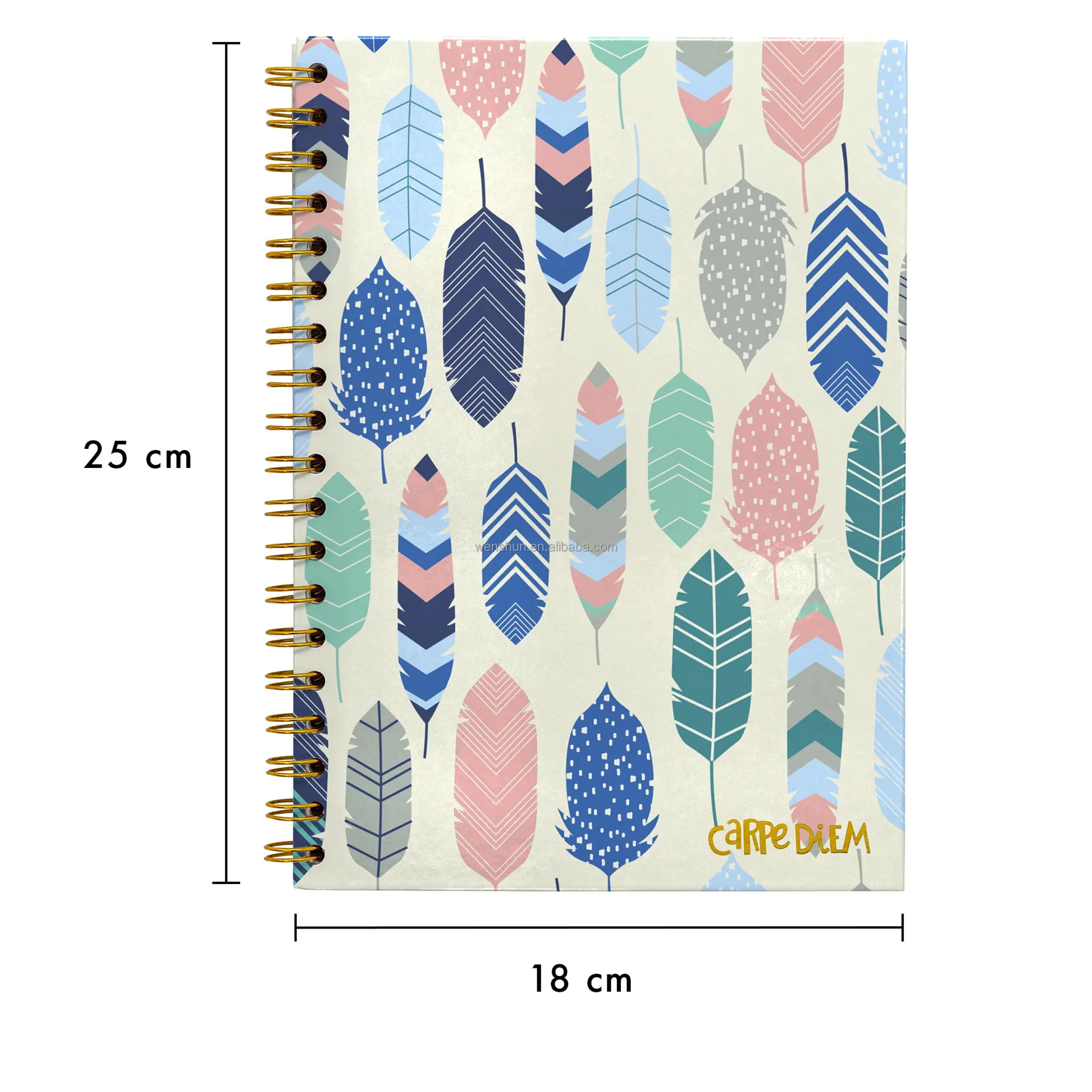 Wholesale Cheap Hardcover Ruled Woodfree Paper Feathers B5 Notebook