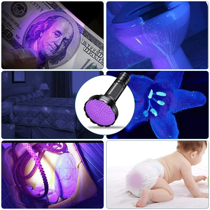 LED Ultraviolet Blacklight Detector for Dog Urine Pet Stains and Bed Bug Fluorescent Detection UV