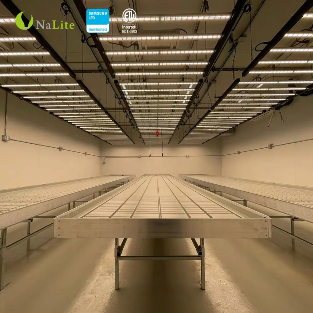 Brand New 630 Lm301b Lm301h Pro 1700E Repl Gavit Grow Light Led 1700 Watt For Medical Plants