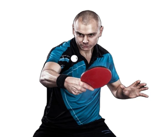 wholesale High Quality 4 PingPong Paddles 8 Balls 1 Net Table Tennis Set of 4 For Sale