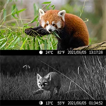 2022 New Arrival Infrared Night Vision Trail Camera 0.2s Triggering Time Motion Sensor Dual len Camera