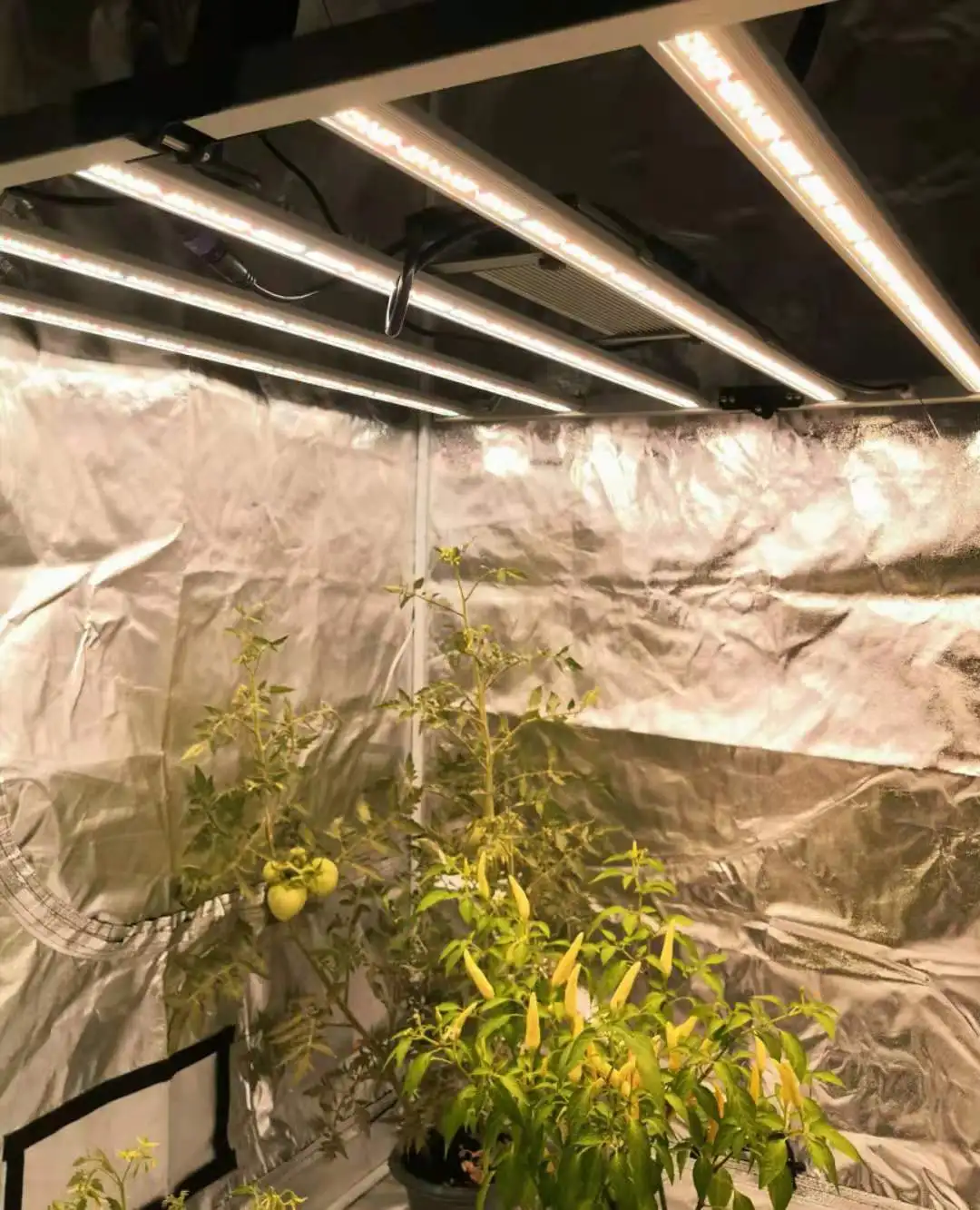 Новый светильник для растений Lm Smartbar 700 Вт, светодиодная лампа для растений с раздельным управлением, для гидропоники, УФ, для вертикальных фермеров