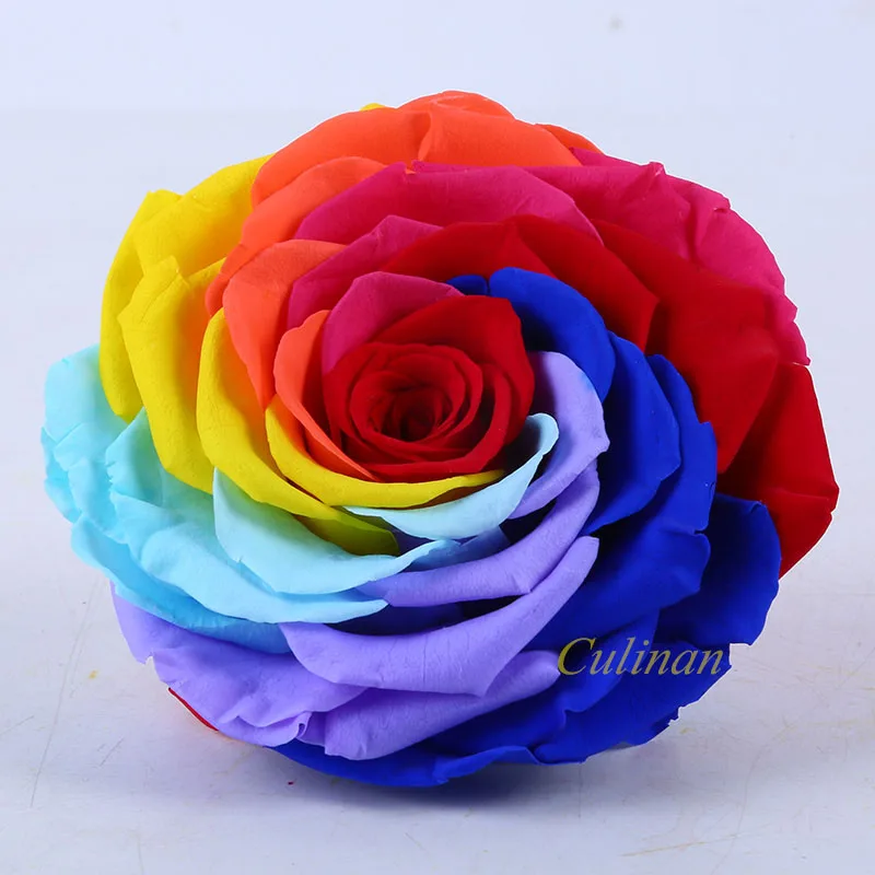 Culinan Wholesale Freeze Dried Roses Supplier Preserved Rose Preserved Flower Rose For Online Flowers Business