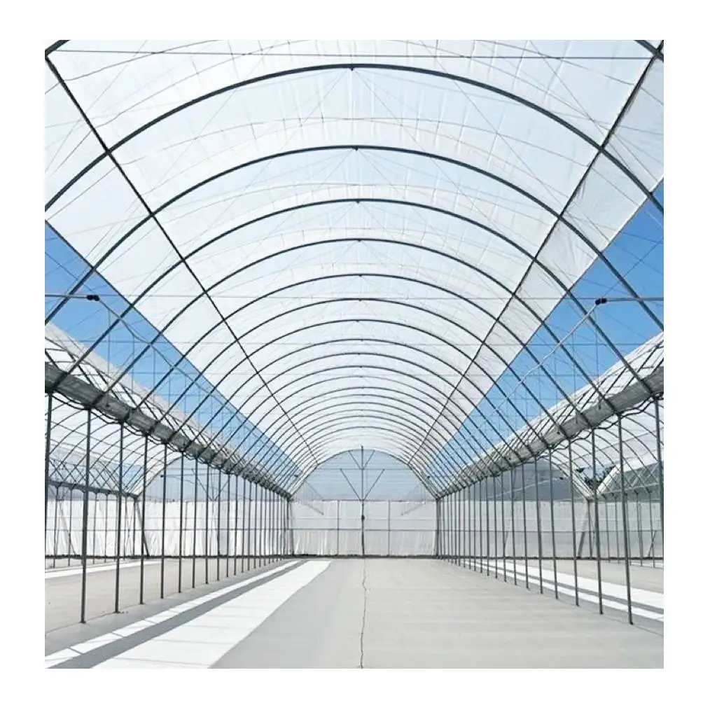 Wholesale Simple Installation Farm And Garden Greenhouses Rain Shelter Greenhouses