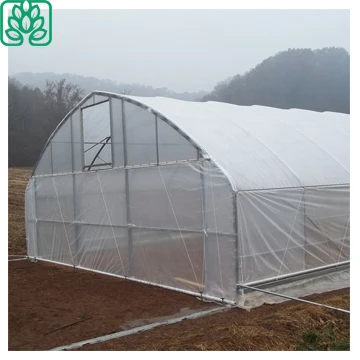 Wholesale professional Widely used low cost agricultural greenhouse for tomato