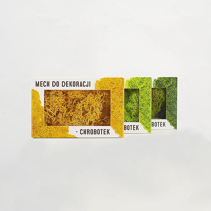 YINGBIN 500G Lichen Moss Stabilized Musgo Long Lasting Natural Preserved Moss For Wall Decoration