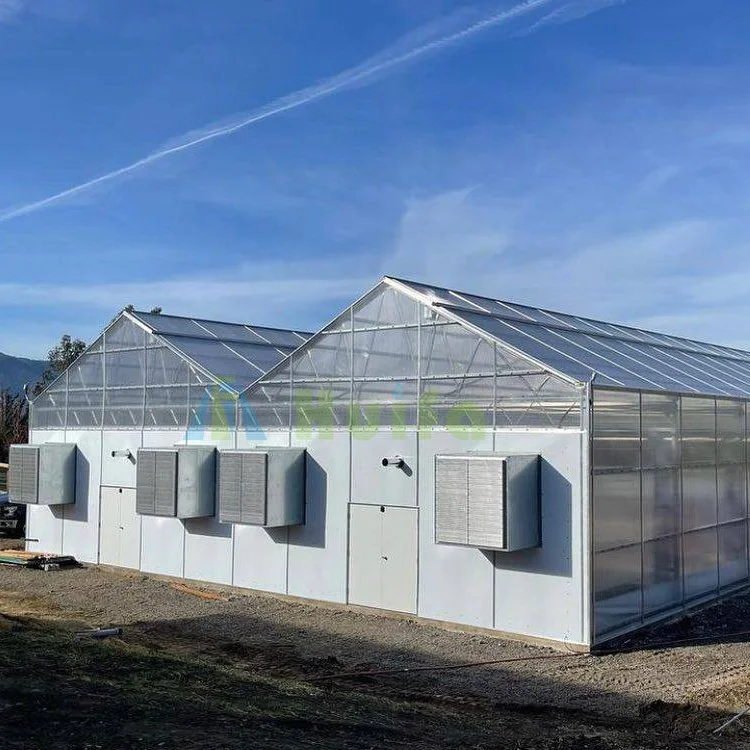 PC Sheet Frame Green House Plant Growing Commercial Greenhouse Kit House Hot Sale