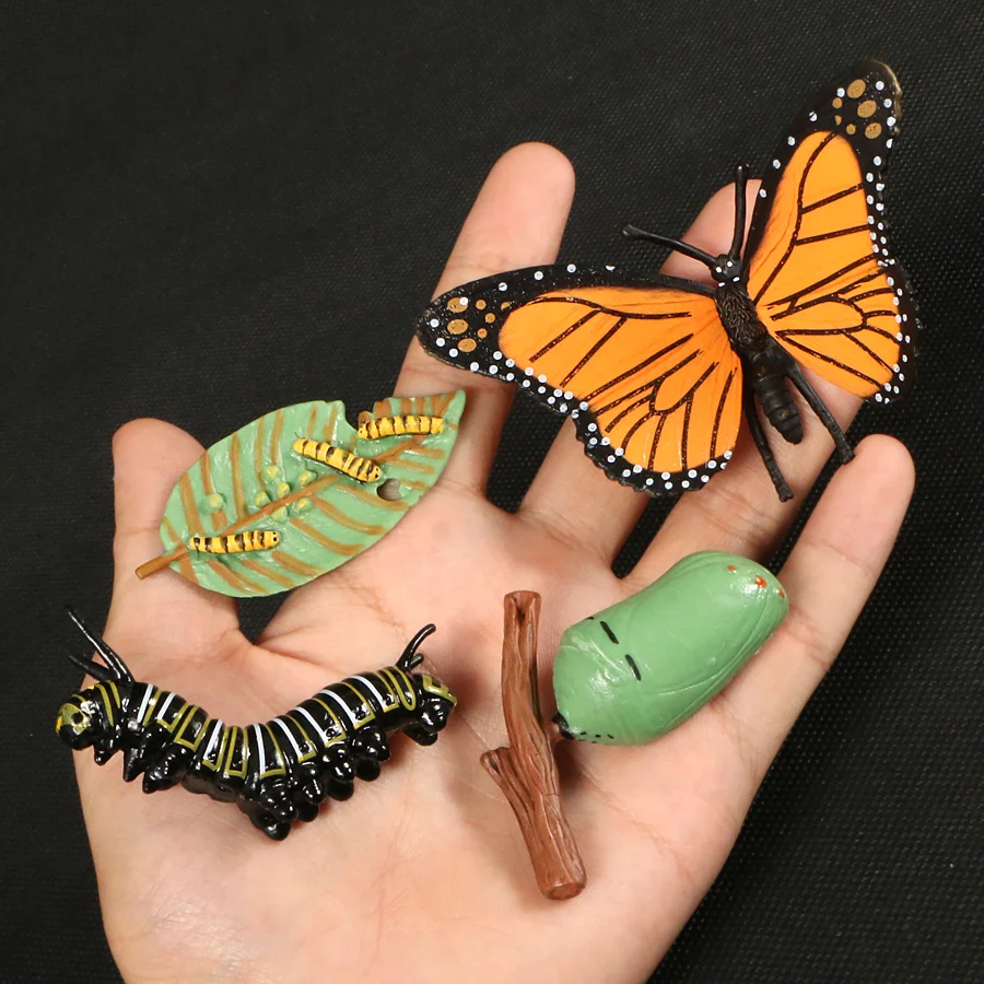 2021Butterfly,Ladybu Chicken Life Cycle Figurine Plastic Models Simulation Animals Growth Cycle Educational Kids Toy