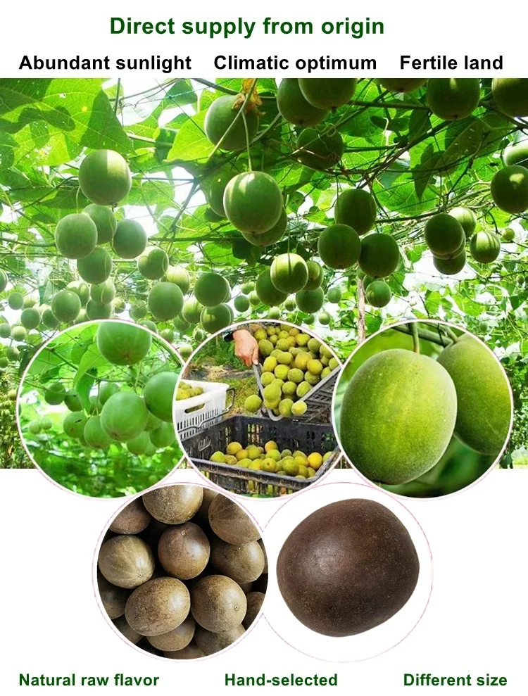 Wholesales Single spices and herbs alpinia premium dried galanga roots natural galangal roots