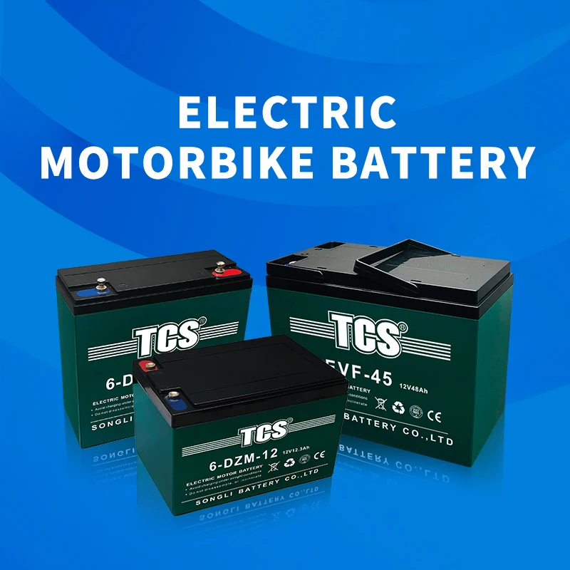 Mass-Market Hits 8 DZM 20 battery operated bicycle 16V 20AH electric bicycle battery TCS recharge battery