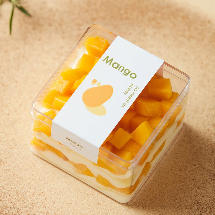 Food Biscuit Loaf Cake Box Packing Square Melaleuca Dessert Cake Box Cake Packaging Candy Container Transparent Plastic Box PS