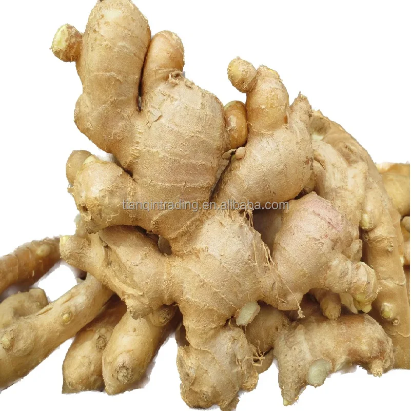 Свежий имбирь и сухой имбирь нового урожая по оптовой цене в Китае