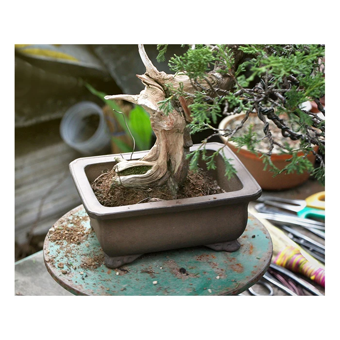 Traditional hand bonsai tool chisel with delicate and beautiful design