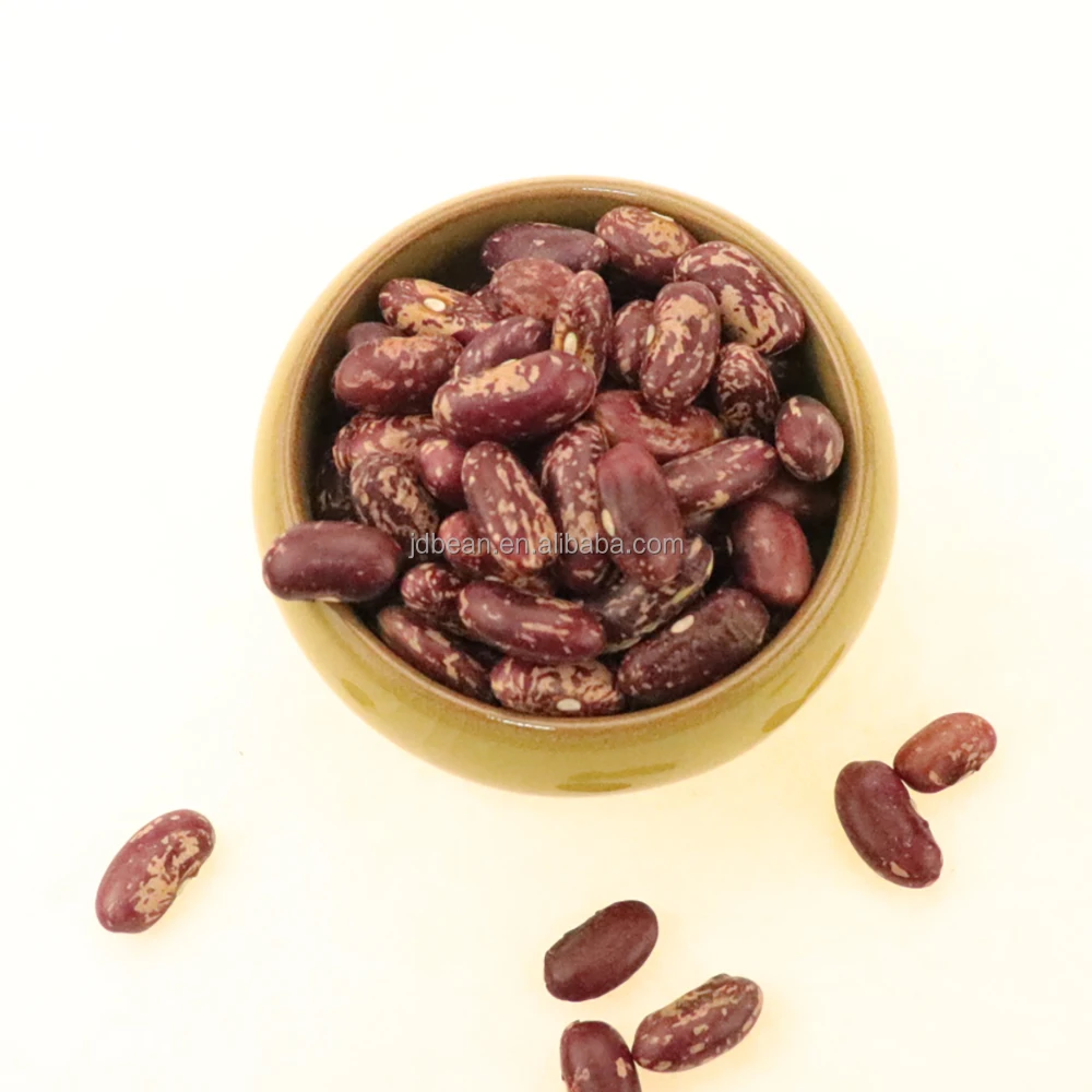 Red Kidney Beans Cranberry Dried Pinto Beans Red Speckled Sugar Beans