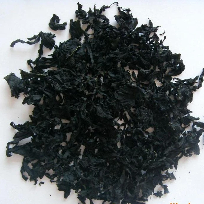 
supply Dried Wakame cut or powder 