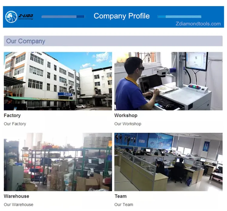 Z LION High Quality Trapezoid Diamond Metal Bond PCD Pad for Floor Scraper