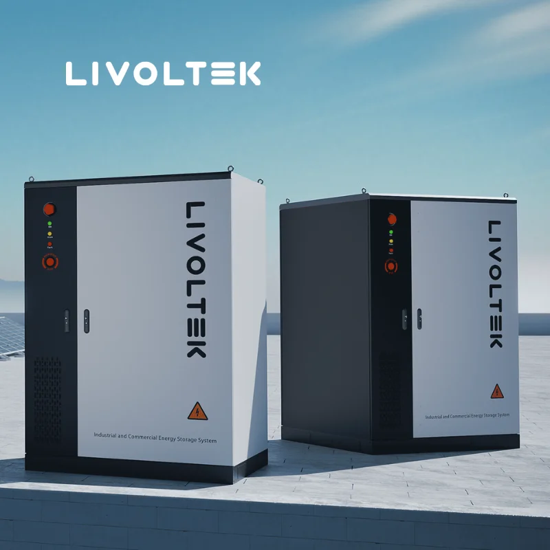 LIVOLTEK IP55 рейтинг воздушного охлаждения Ethernet/CAN/RS485 связь вне сети коммерческое хранение энергии для системы хранения
