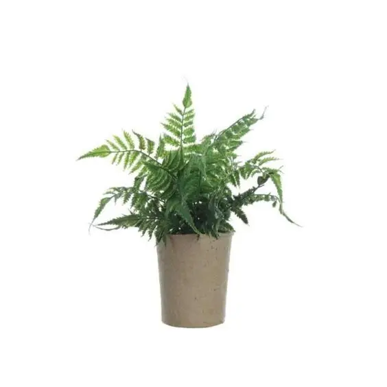 Chinese supplier recycled paper pulp disposable plant pot
