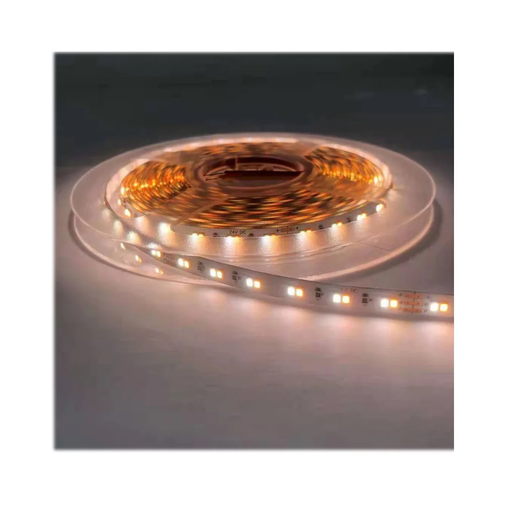 Color temperature adjustable cool white and pure white 12v SMD 2835 120leds cct LED strip light
