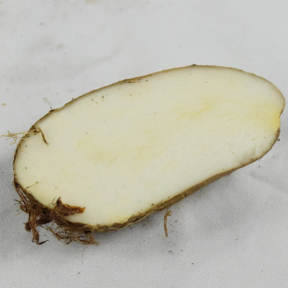 High Quality China Fresh Taro With Best Price