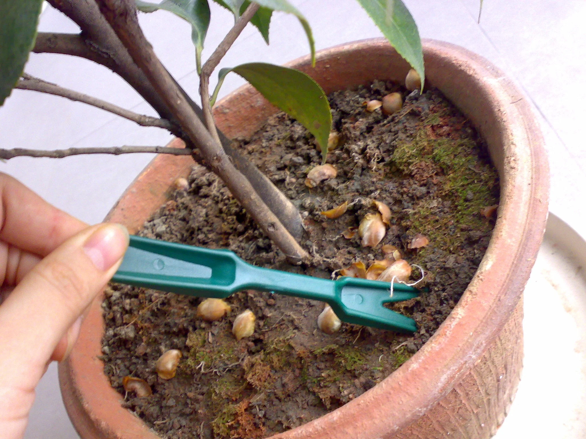 waterproof stretchable plastic SOFT TPR plant tie tape garden grape support