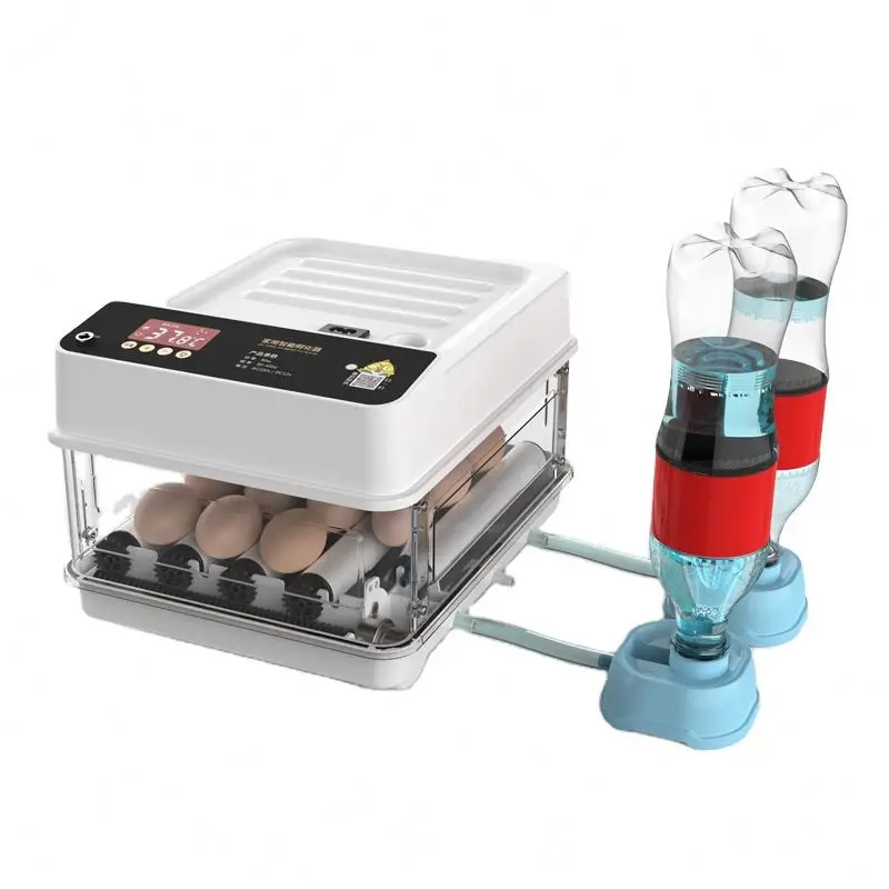 Wholesale hot sellingchicken hatchery 15 Capacity Automatic Egg Incubator Small Hatcher For Chciken accessories