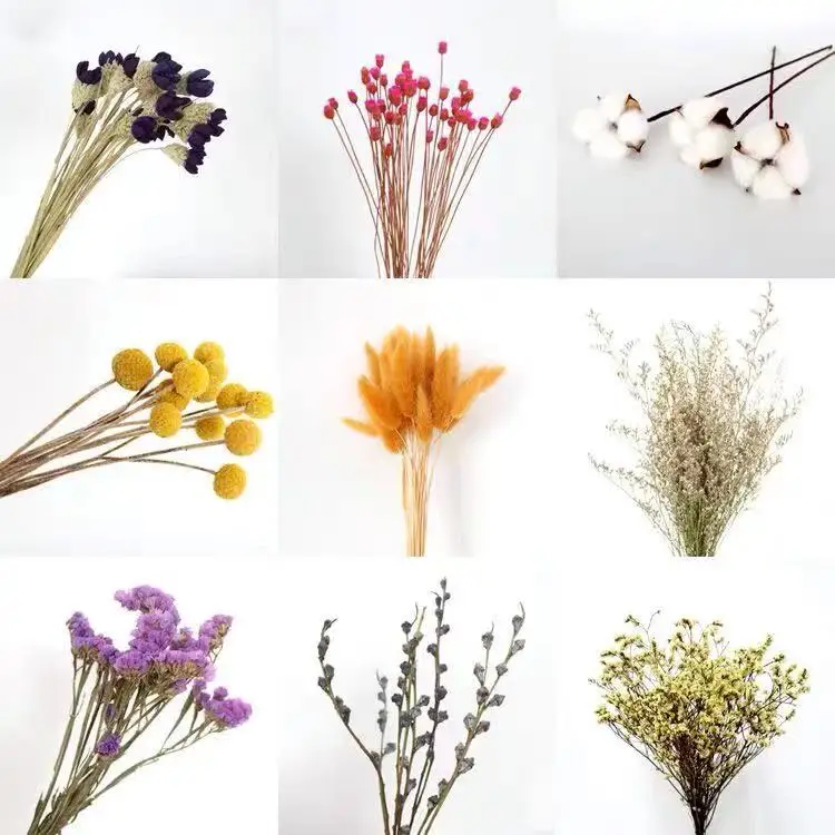 
Wholesale Hot Selling Home Wedding Decoration Bridal Bouquet Arrangement Boutonniere Large Mini Natural Dried Flowers Bouquet 