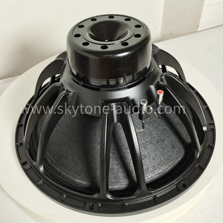 18 sw100 неодимовые 18-дюймовые сабвуферные колонки звуковая система бас большой мощности Па уличный сабвуфер