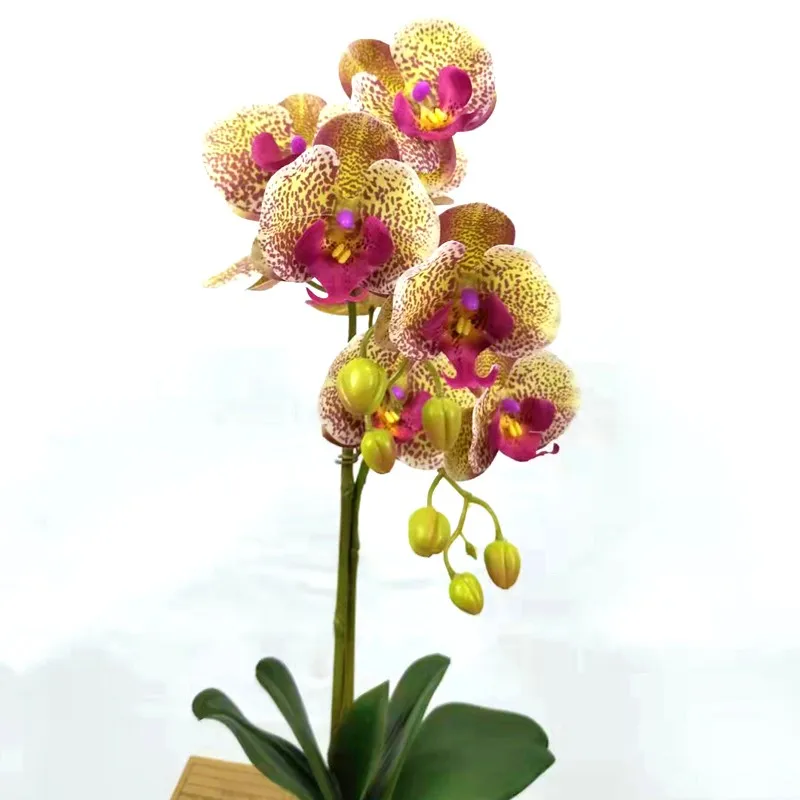 Artificial Real Touch Orchids Flowers Latex Phalaenopsis Stems For Wedding Centerpieces Living Room Home Decoration