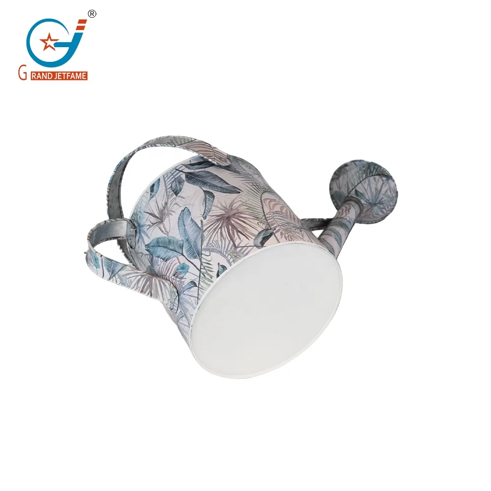 Metal Watering Can Galvanized Steel Watering Pot with Removable Spray Spout, Movable Upper Handle