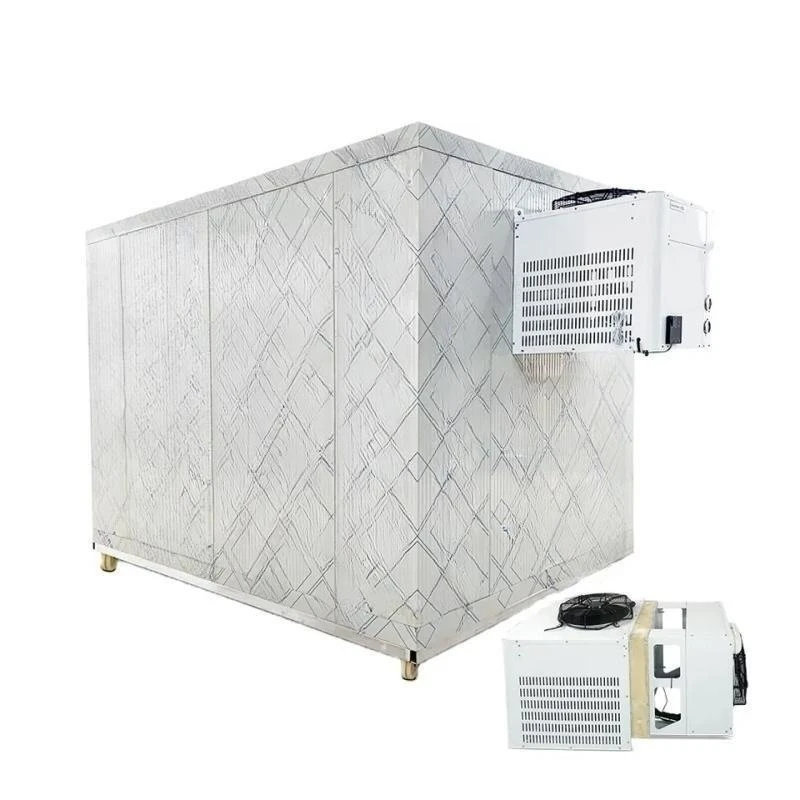 Customizable 1*1*1.5m Cold Room Frozen Meat And Fish For Industrial Cold Room