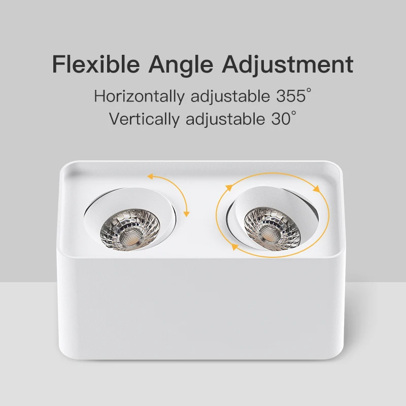 XRZLux Square Led Downlight 20W Double Heads COB Living Room Corridor Aisle Ceiling Spotlights AC110V 220V Ceiling Lamp