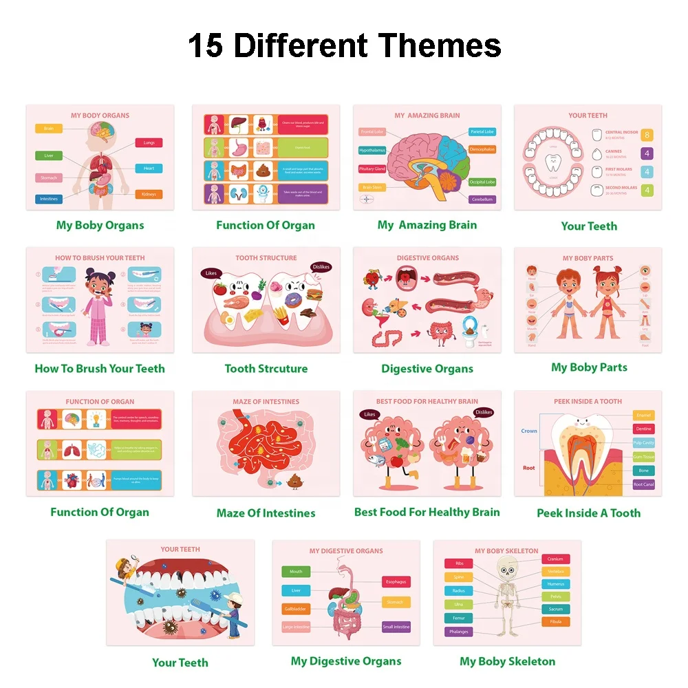 Montessori human body anatomy busy book toy toddlers educational preschool learning activity autism quiet book stickers book set