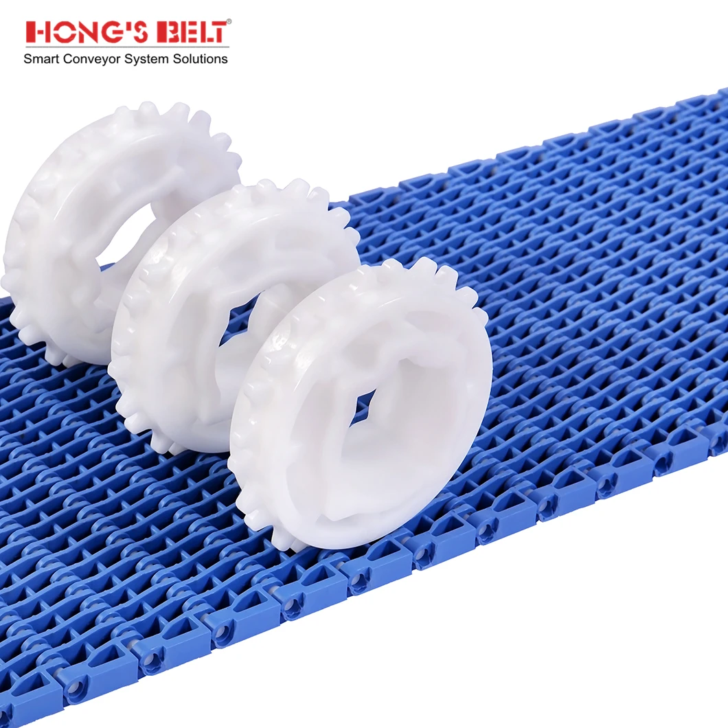 Hongsbelt Modular Conveyor Belts Plastic Modular Belt Manufacturers For Carton Box