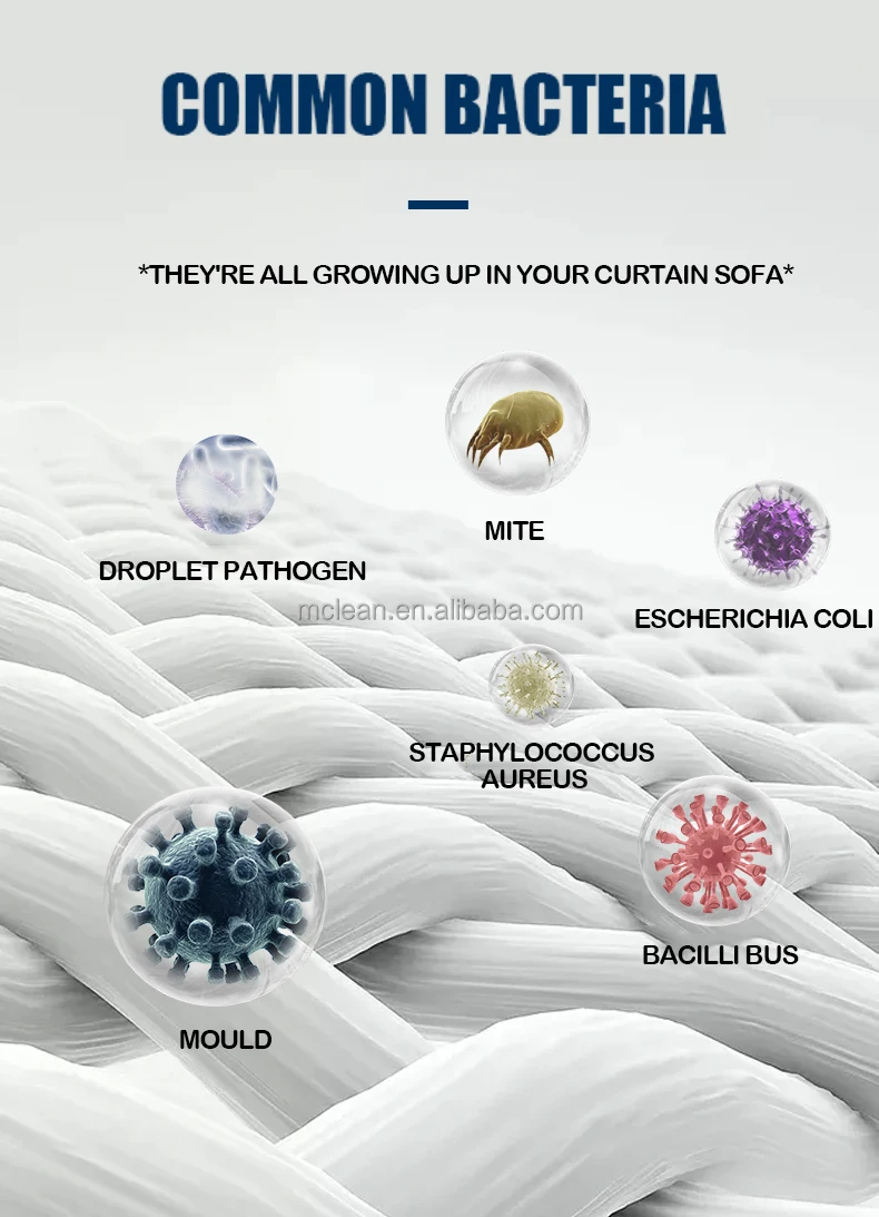 Sofa cleaning machine for home portable sofa cleaning steam kit sofa washing machine clean