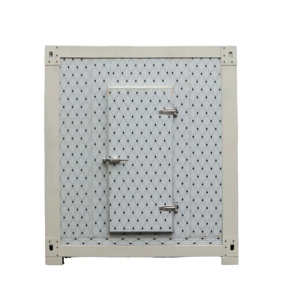 40 Feet Reefer Container Temperature Control Cold Storage Room Refrigeration Units Walk in Freezer