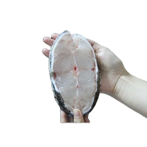 Hot Selling Good Quality Aquatic Product Frozen Grouper Fish Steak