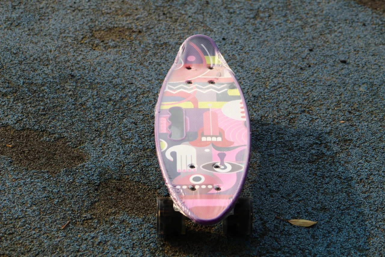 PP deck and aluminum truck skateboard fish board for street travel beginner
