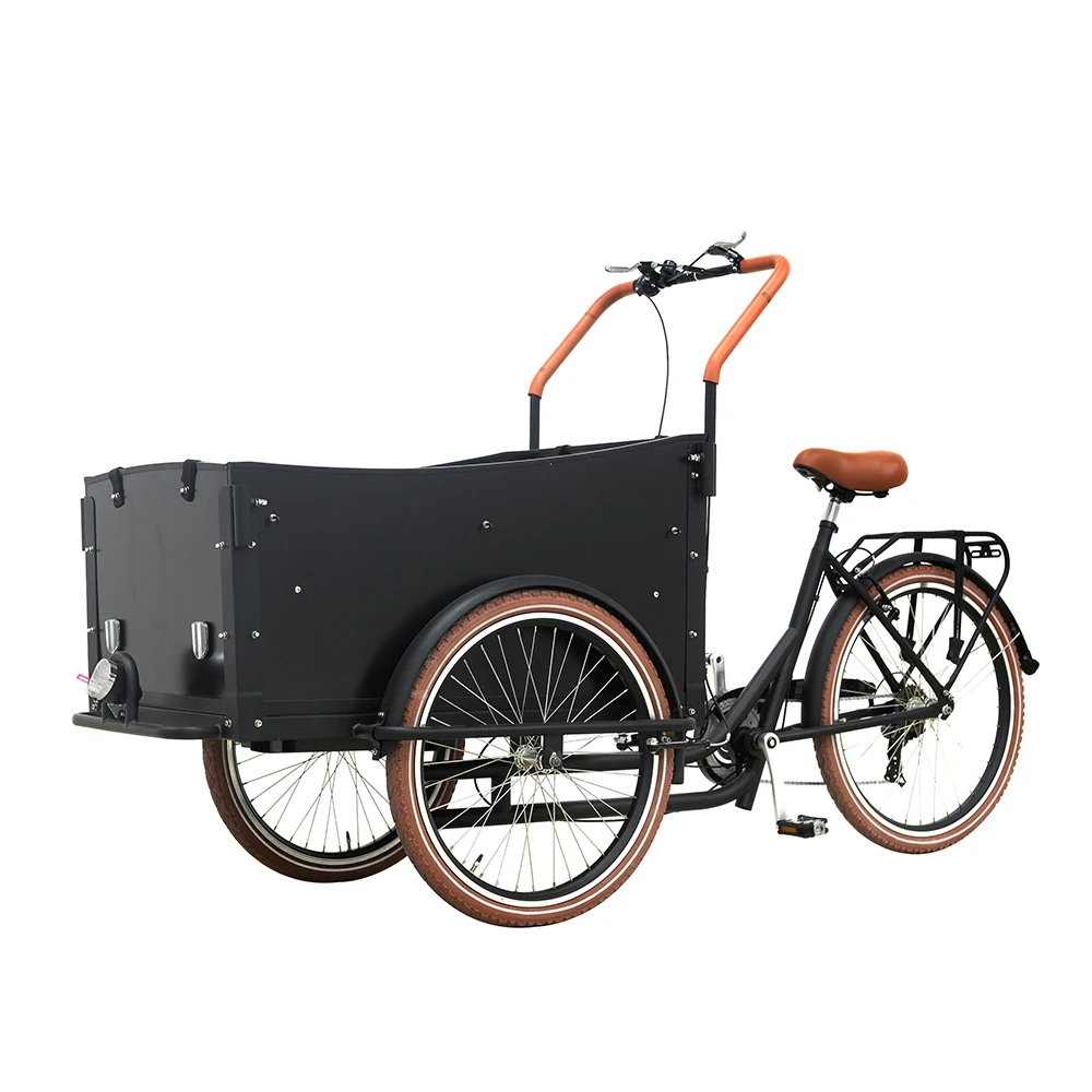 New style three wheeled cargo bikes 7 speed derailleur three wheeled ebike
