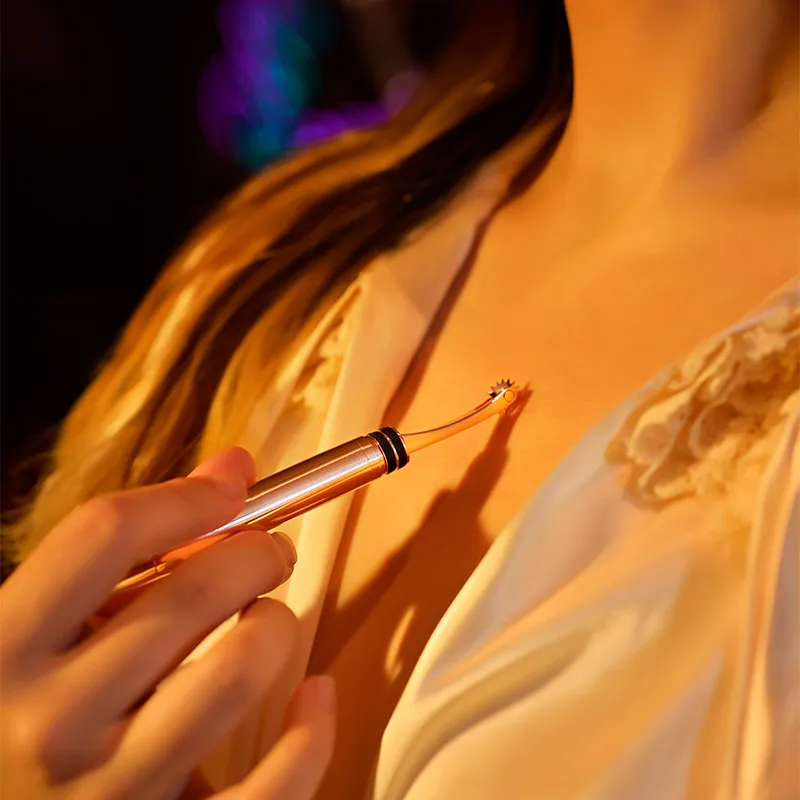 OEM ODM Factory Wholesale BDSM Sex Metal Sex Pinwheel Steel Wartenberg Pinwheel