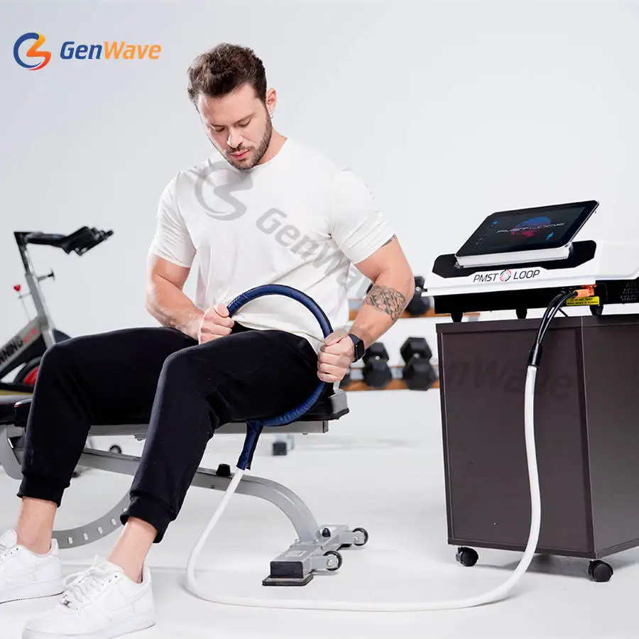 PEMF Mat PMST LOOP PRO MAX  For Pain Magnetic Therapy Machine PEMF LOOP Pemf Equine Horse Therapy Machine