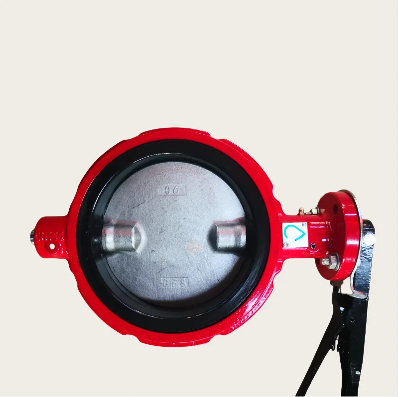 6 Inch ANSI CL150/ANSI125 Ductile Iron Ggg50 Red Color Wafer Type Butterfly Valve Suitable for American Market