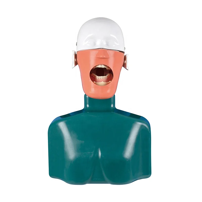 Модель головы для обучения модель фантомного манекса пожилых людей с водосточным сливом подходит имитации ротовой