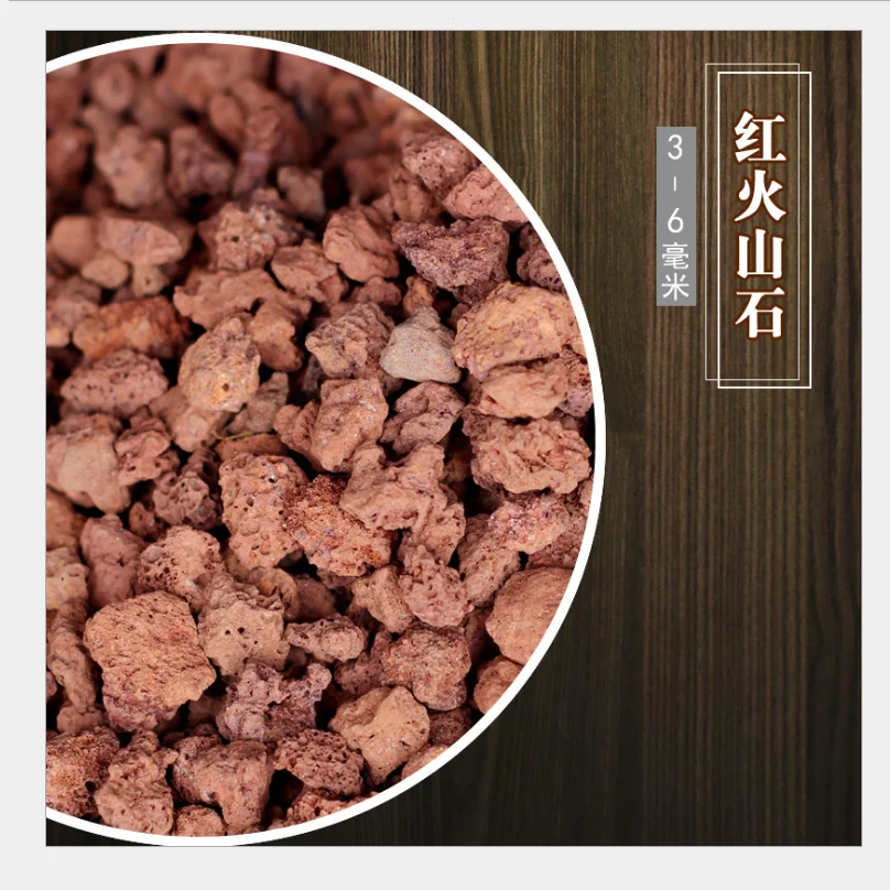 The park uses black and red lava, volcanic rock soil surface volcanic pumice plant