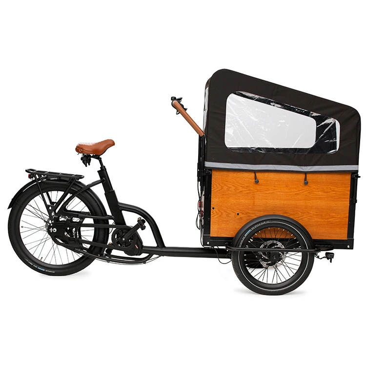 Range Pedal Assist 250w Motor Electric Cargo Bike 14ah Lithium Battery 3 wheels bike electric cargo tricycle