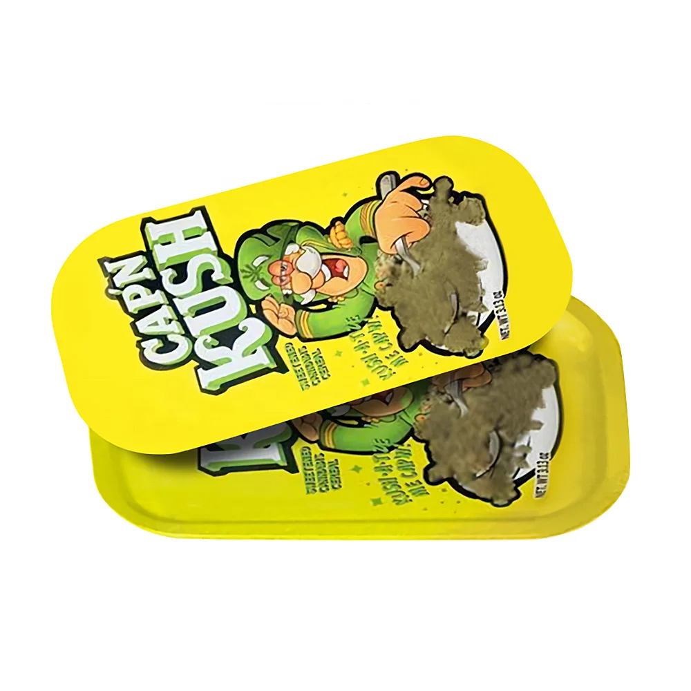 27*16cm Rick And Morty Smoke Tobacco Tray With Cover Metal Stainless Steel Tray Wholesale Custom Rolling Trays With Magnetic Lid