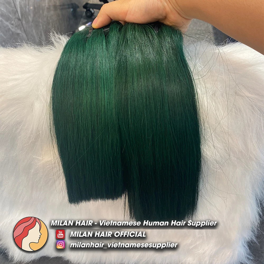 Color variety Vietnam human hair Ombre colored with Full Cuticle Aligned Hair From MILAN HAIR Vietnam